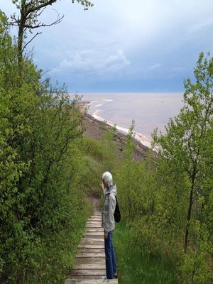 cover image of To the Lake and Selected Poems